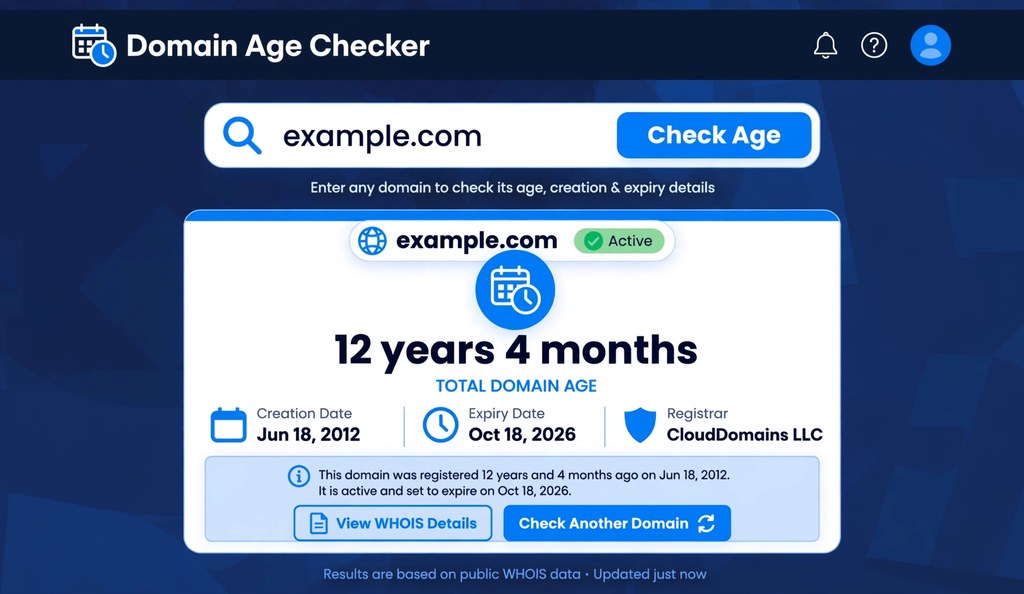 Domain age checker tool showing domain age in years with creation and expiry dates
